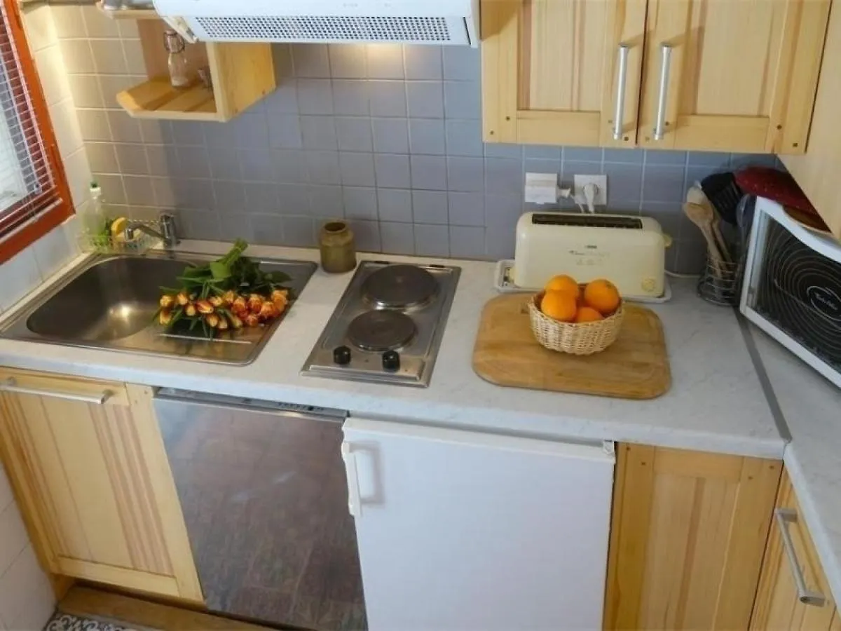 Duplex A Luchon, 2 Chambres, 4 Pers, Proche Thermes Et Telepherique, Animaux Admis - Fr-1-313-190 Bagneres-de-Luchon France